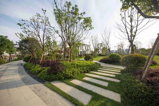 看慣了北方的生態(tài)粗線條 來感受下江南精品園林的畫風(fēng)