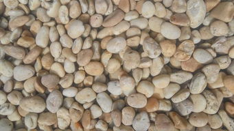 山河園林信譽(yù)好的雨花石銷售商 尋求優(yōu)質(zhì)的雨花石