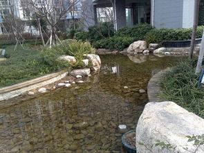 細節成就精品 園林景觀 powered discuz