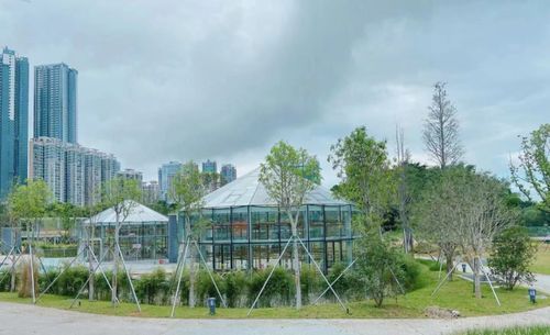 國內(nèi)首座 亭臺(tái) 淺灘 步道 羅湖這一新晉打卡點(diǎn)竟還有隱藏功能