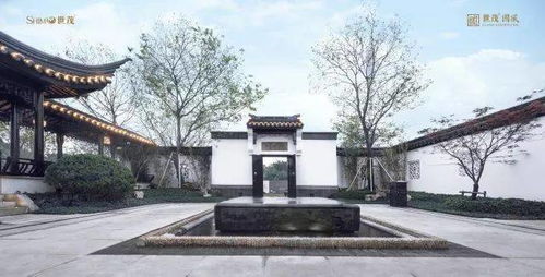 拿什麼拯救你,中國的文化語境 語境