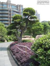 廣東華美霖園林實(shí)業(yè)