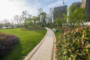 看慣了北方的生態(tài)粗線條 來(lái)感受下江南精品園林的畫風(fēng)