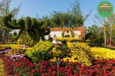 2021歡迎訪問##花溪植物雕塑,2022虎年春節綠雕,園林綠化##實業集團