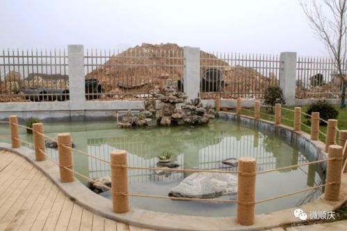 地下處理污水地上是公園,南充這一污水處理廠投用