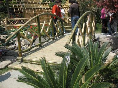 綠化工程_綠化工程供貨商_供應綠化工程領先企業-上海綠化工程首選哪家公司_綠化工程價格_上?？弟皥@林(晨蘇實業)