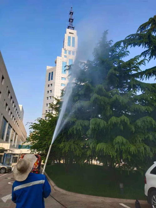 2021歡迎訪問 專業出租園林噴藥車，助力各類樹木養護——【實業集團】園林實業