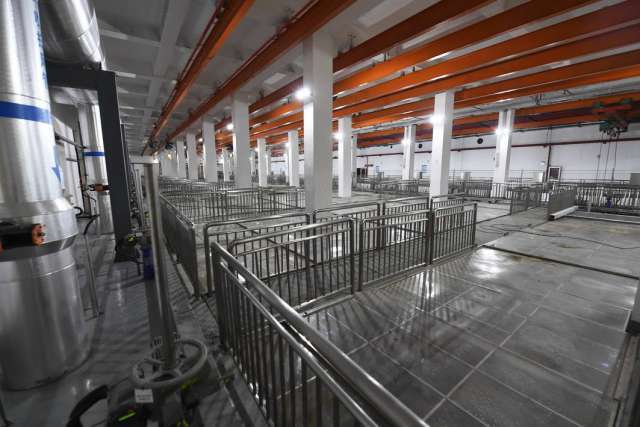 綠茵之下，匠心筑夢 一座公園的園林實業密碼